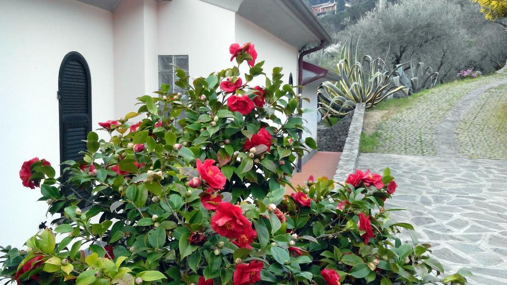 Villa Il Pettirosso La Spezia Szoba fotó